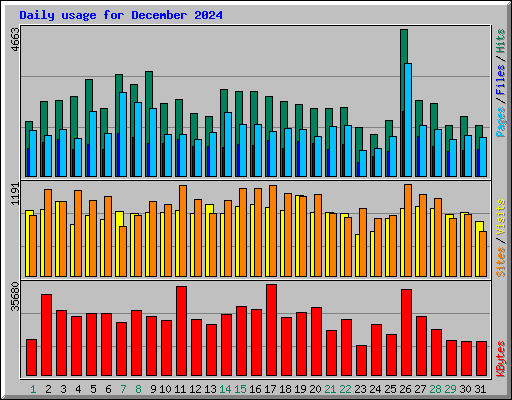 Daily usage for December 2024
