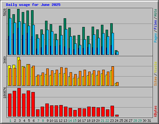 Daily usage for June 2025