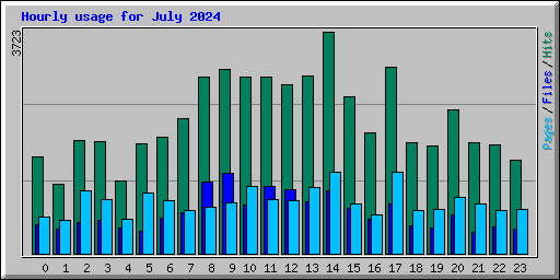 Hourly usage for July 2024