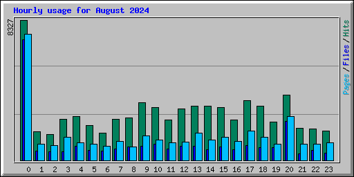 Hourly usage for August 2024