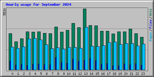 Hourly usage for September 2024