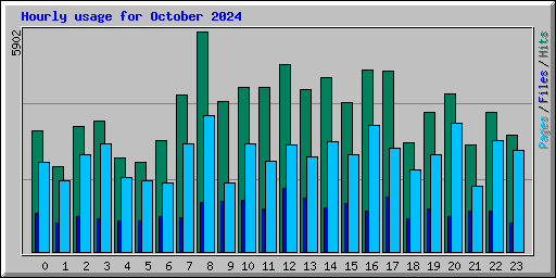 Hourly usage for October 2024