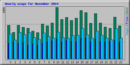 Hourly usage for November 2024