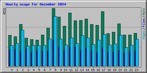 Hourly usage for December 2024