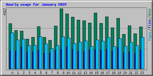 Hourly usage for January 2025