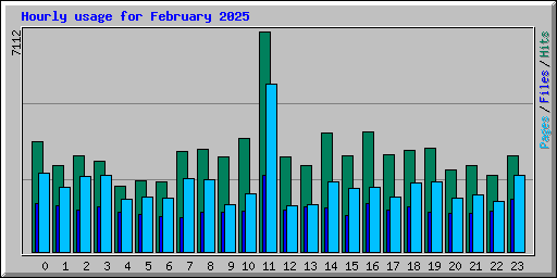 Hourly usage for February 2025