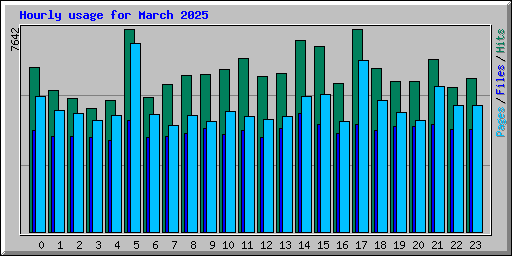 Hourly usage for March 2025