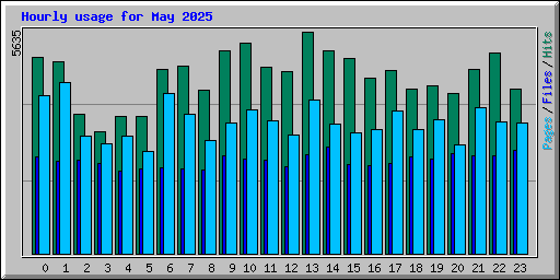 Hourly usage for May 2025