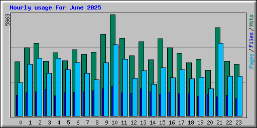 Hourly usage for June 2025