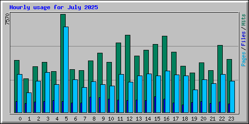 Hourly usage for July 2025