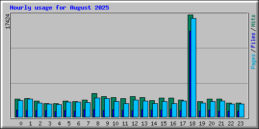Hourly usage for August 2025