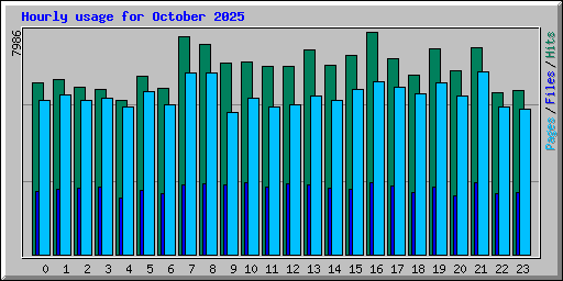 Hourly usage for October 2025