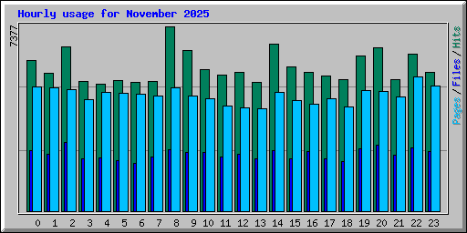 Hourly usage for November 2025
