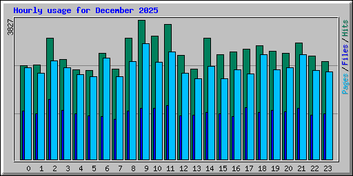 Hourly usage for December 2025