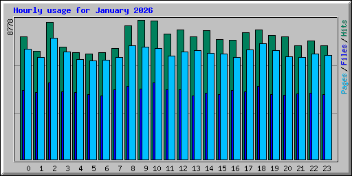 Hourly usage for January 2026