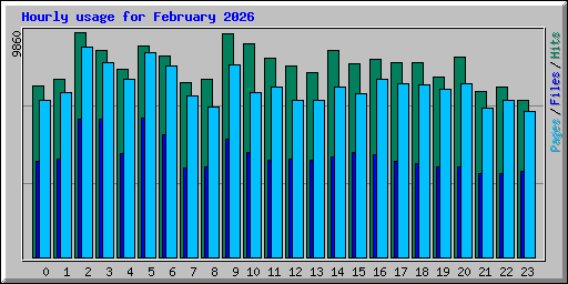 Hourly usage for February 2026